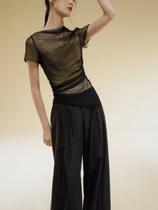 Simple Thin Transparent Pleated Mesh T-shirt