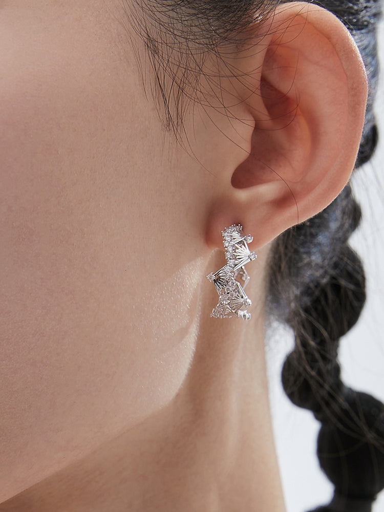 Fashionable luxury earrings