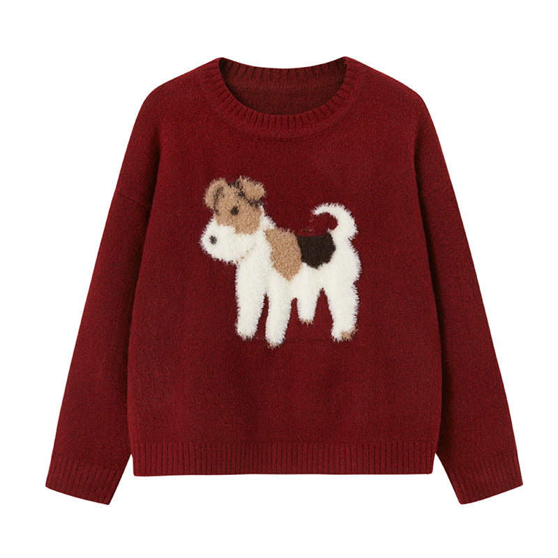 Little dog sweater