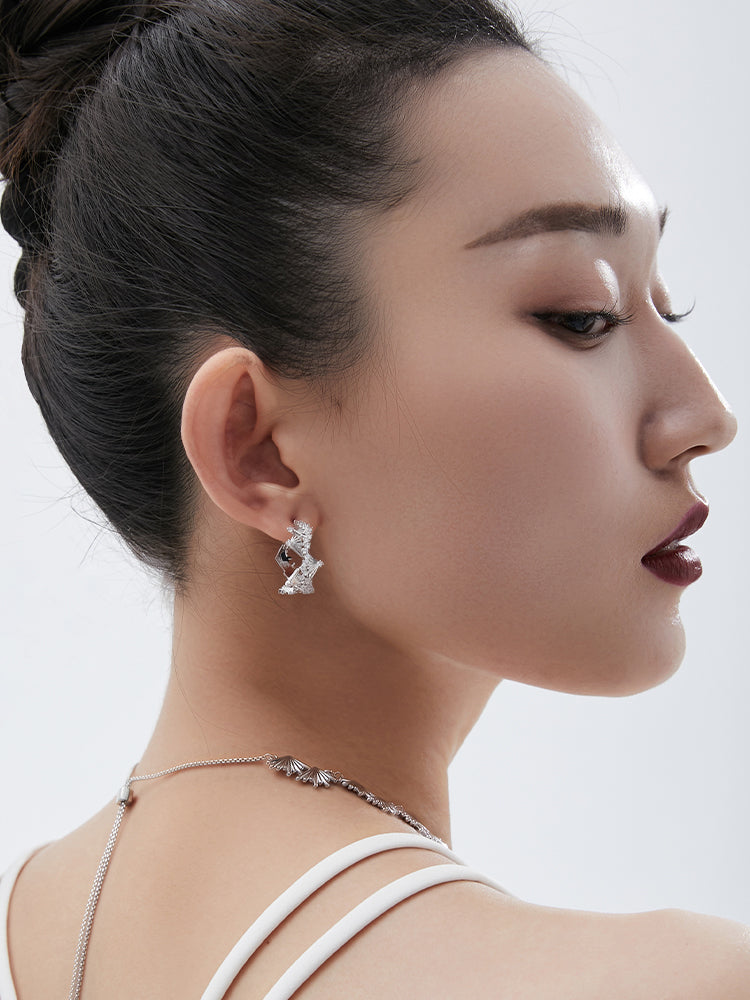 Fashionable luxury earrings